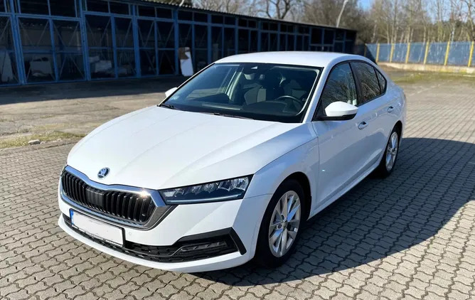 skoda Skoda Octavia cena 64899 przebieg: 187000, rok produkcji 2020 z Bydgoszcz